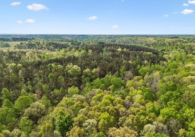 Photo 2 of Land for sale at 2 Pleasant Ridge Rd, Goodspring, TN 38460 | MLS# 3602558 | Listing updated on 2026-09-29