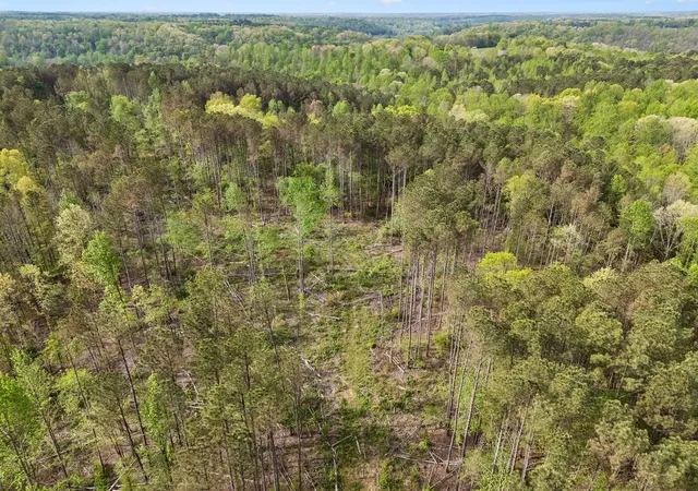 Photo 3 of Land for sale at 2 Pleasant Ridge Rd, Goodspring, TN 38460 | MLS# 3602558 | Listing updated on 2026-09-29