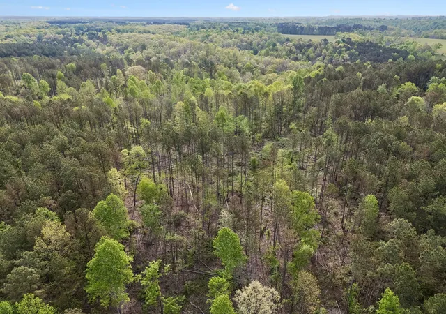 Photo 3 of Land for sale at 2 Pleasant Ridge Rd, Goodspring, TN 38460 | MLS# 3602558 | Listing updated on 2026-09-29