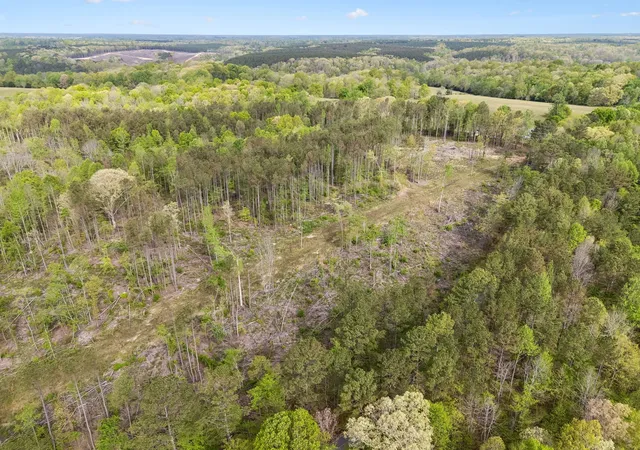 Photo 4 of Land for sale at 2 Pleasant Ridge Rd, Goodspring, TN 38460 | MLS# 3602558 | Listing updated on 2026-09-29
