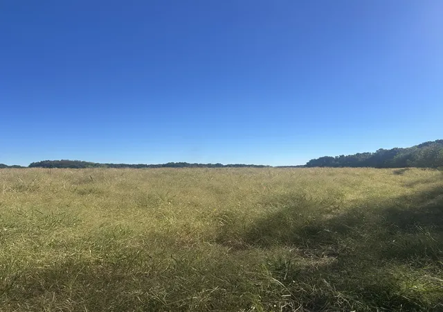 Photo 3 of Land for sale at 0 Pendergrass Rd, Flintville, TN 37335 | MLS# 3602807 | Listing updated on 2026-10-01
