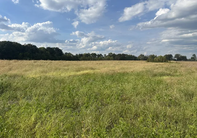 Photo 1 of Land for sale at 0 Pendergrass Rd, Flintville, TN 37335 | MLS# 3602807 | Listing updated on 2026-10-01