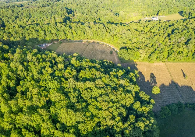 Photo 3 of Land for sale at 6 Young Rd, Pulaski, TN 38478 | MLS# 3603179 | Listing updated on 2026-09-30