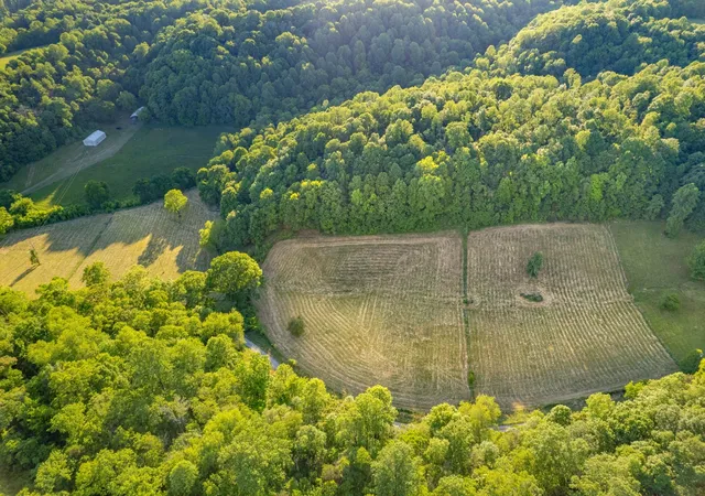 Photo 3 of Land for sale at 6 Young Rd, Pulaski, TN 38478 | MLS# 3603179 | Listing updated on 2026-09-30