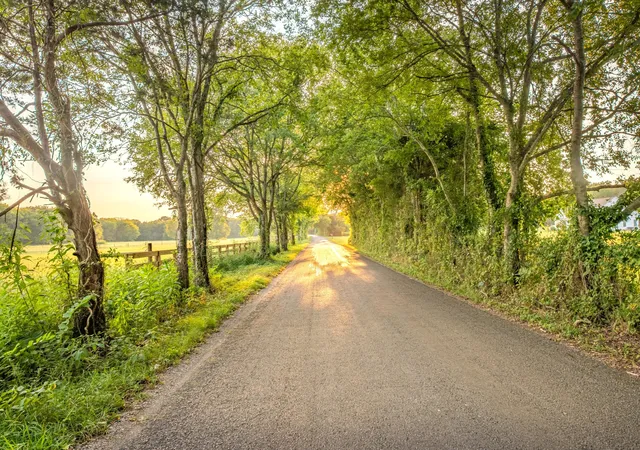 Photo 4 of Land for sale at 0 Hunter Bills Rd, Lewisburg, TN 37091 | MLS# 3603172 | Listing updated on 2026-10-04
