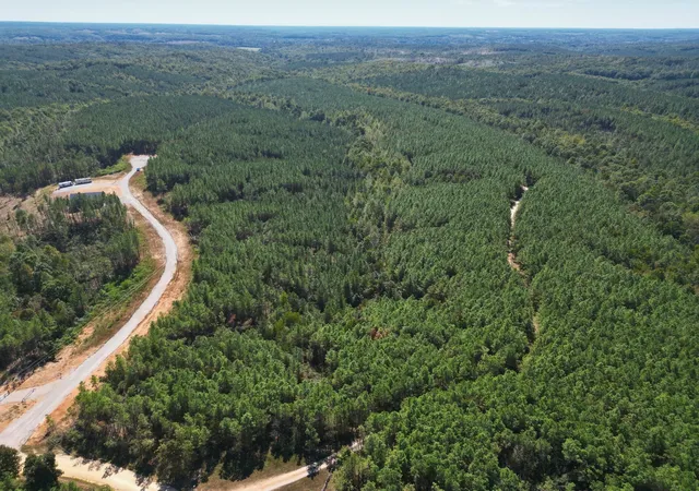Photo 3 of Land for sale at 111 Hillbrook Dr, Hohenwald, TN 38462 | MLS# 3603571 | Listing updated on 2026-10-08