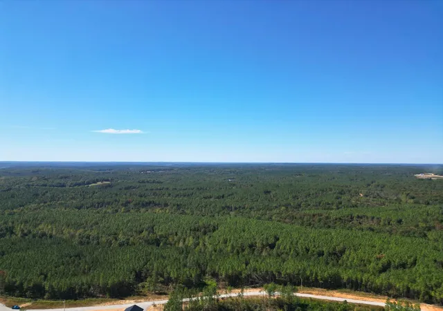 Photo 4 of Land for sale at 111 Hillbrook Dr, Hohenwald, TN 38462 | MLS# 3603571 | Listing updated on 2026-10-08
