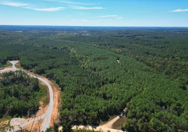 Land for sale at 111 Hillbrook Dr, Hohenwald, TN 38462 | MLS# 3603571