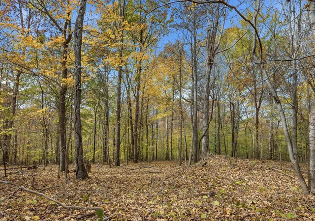 Photo 3 of Land for sale at 0 Vaughn Ln, Indian Mound, TN 37079 | MLS# 3602394 | Listing updated on 2026-09-29