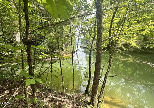 Photo 3 of Land for sale at 8 Woods Ridge Rd, Dandridge, TN 37725 | MLS# 3602334 | Listing updated on 2026-09-28