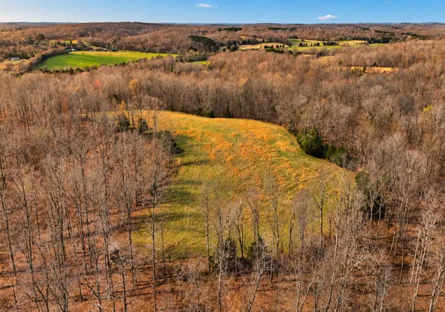 Photo 2 of Land for sale at 0 Herman Adams Rd, Cumberland City, TN 37050 | MLS# 3602392 | Listing updated on 2026-09-29