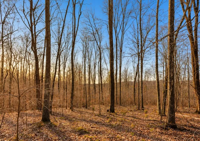 Photo 3 of Land for sale at 0 Herman Adams Rd, Cumberland City, TN 37050 | MLS# 3602392 | Listing updated on 2026-09-29