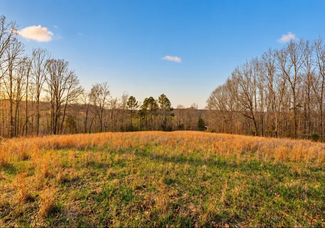 Photo 4 of House for sale at 0 Herman Adams Rd, Cumberland City, TN 37050 | MLS# 3602392 | Listing updated on 2026-09-29