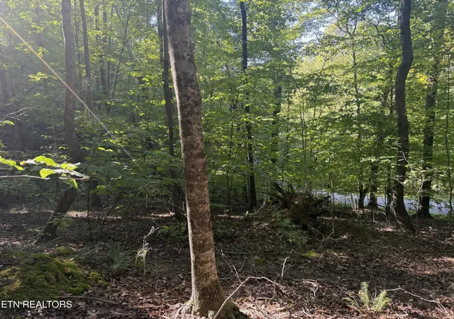 Photo 4 of Land for sale at 63 Cvs Norris Rd, Caryville, TN 37714 | MLS# 3602364 | Listing updated on 2026-09-29