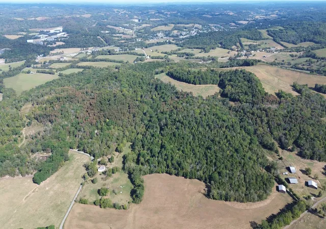Photo 2 of Land for sale at 0 Goose Branch Rd, Lynchburg, TN 37352 | MLS# 3602419 | Listing updated on 2026-09-29