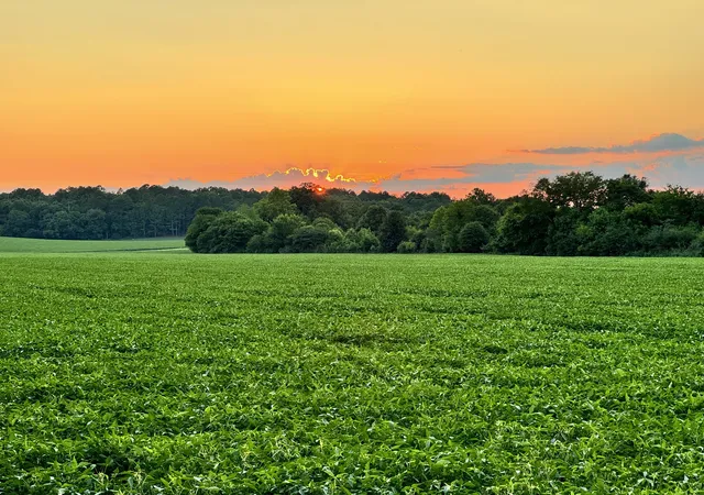 Photo 3 of Land for sale at 420 Reynolds Brg Rd, Kingston, GA 30145 | MLS# 3602482 | Listing updated on 2026-09-29