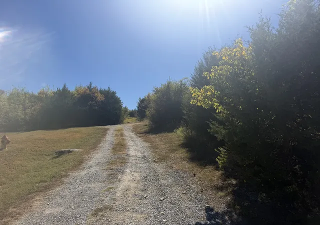 Photo 3 of Land for sale at 0 Bryant Ln, Woodbury, TN 37190 | MLS# 3602574 | Listing updated on 2026-09-29