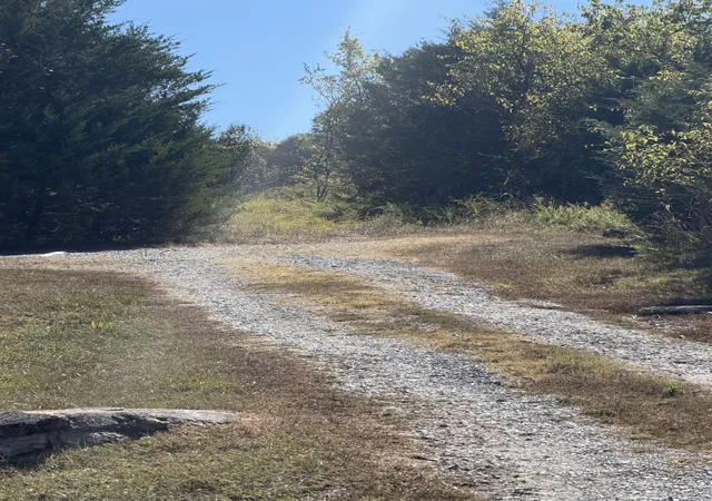 Photo 4 of Land for sale at 0 Bryant Ln, Woodbury, TN 37190 | MLS# 3602574 | Listing updated on 2026-09-29