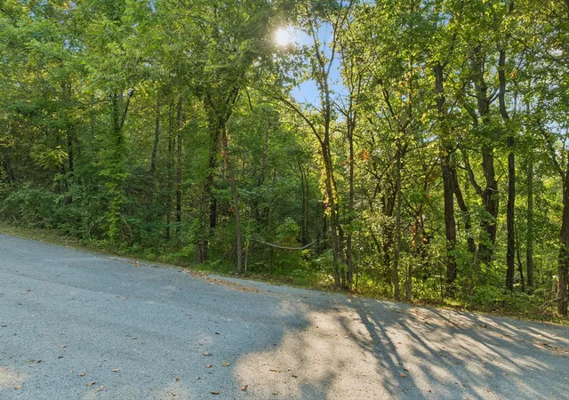 Photo 3 of Land for sale at 0 Spring Water Ln, Thompson's Station, TN 37179 | MLS# 3602555 | Listing updated on 2026-10-06
