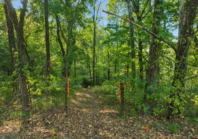 Photo 4 of Land for sale at 0 Spring Water Ln, Thompson's Station, TN 37179 | MLS# 3602555 | Listing updated on 2026-10-06