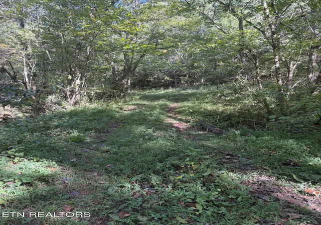 Photo 38 of Single family home for sale at 1352 Wilson Sta Rd, Englewood, TN 37329 | MLS# 3602556 | Listing updated on 2026-09-29