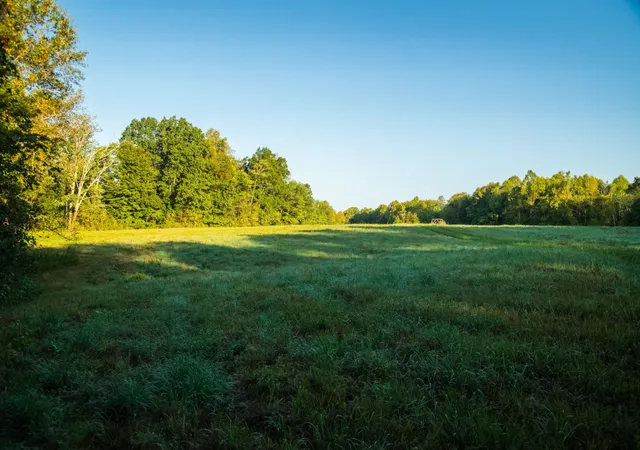 Photo 3 of Land for sale at 655 Burton Ridge Rd, Silver Point, TN 38582 | MLS# 3603081 | Listing updated on 2026-10-05