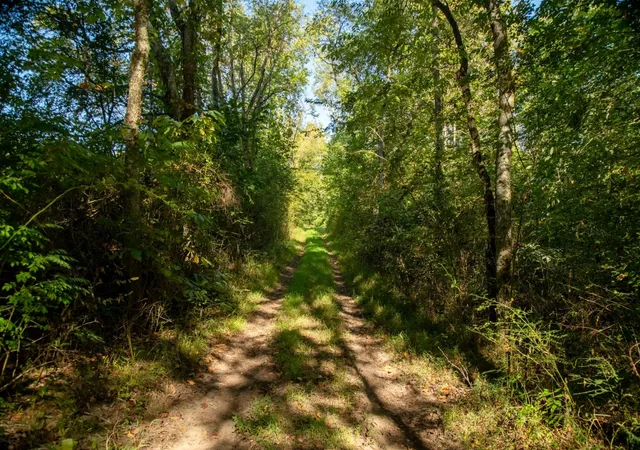 Photo 3 of Land for sale at 655 Burton Ridge Rd, Silver Point, TN 38582 | MLS# 3603081 | Listing updated on 2026-10-05