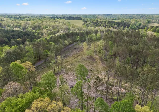 Photo 3 of Land for sale at 3 Pleasant Ridge Rd, Goodspring, TN 38460 | MLS# 3602597 | Listing updated on 2026-09-29