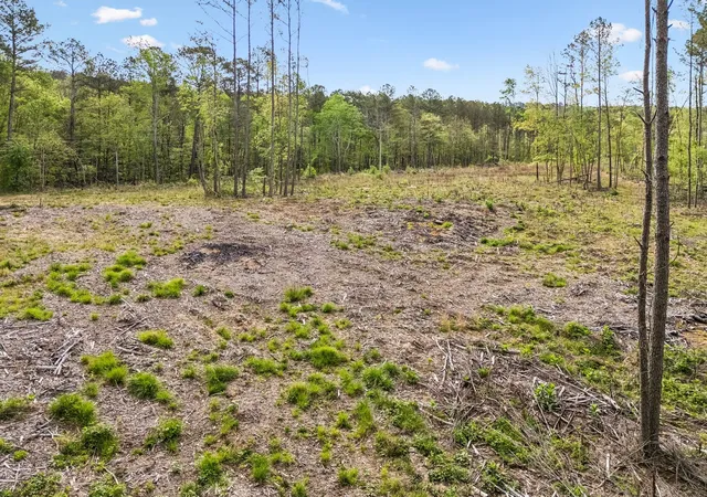 Photo 4 of Land for sale at 3 Pleasant Ridge Rd, Goodspring, TN 38460 | MLS# 3602597 | Listing updated on 2026-09-29