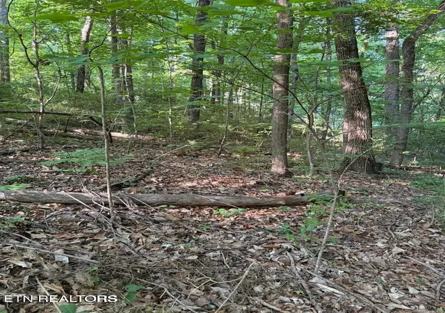 Photo 3 of Land for sale at 0 Ridgemont Dr, Knoxville, TN 37918 | MLS# 3609765 | Listing updated on 2026-10-01