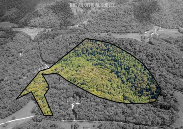 Land for sale at 0 Watts Holw Rd, Buffalo Valley, TN 38548 | MLS# 3611665