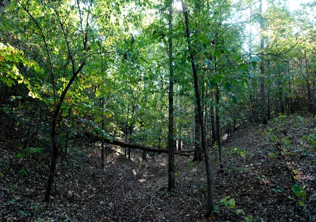 Photo 3 of Land for sale at 1 Ables Rd, Cherokee, AL 35616 | MLS# 3602732 | Listing updated on 2026-10-02