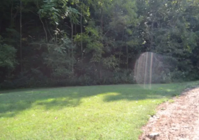 Photo 3 of Land for sale at 0 Cherry Farm Ln, Celina, TN 38551 | MLS# 3602705 | Listing updated on 2026-09-29