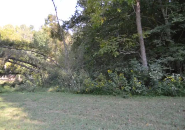 Photo 4 of House for sale at 0 Cherry Farm Ln, Celina, TN 38551 | MLS# 3602705 | Listing updated on 2026-09-29