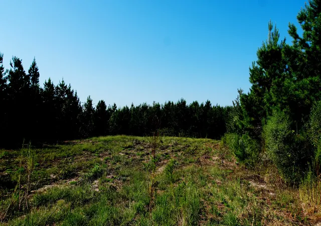 Photo 3 of Land for sale at 2 Ables Rd, Cherokee, AL 35616 | MLS# 3602737 | Listing updated on 2026-10-02