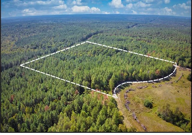 Photo 2 of Land for sale at 0 Burnett Mills Rd, Bolivar, TN 38008 | MLS# 3602919 | Listing updated on 2026-10-13