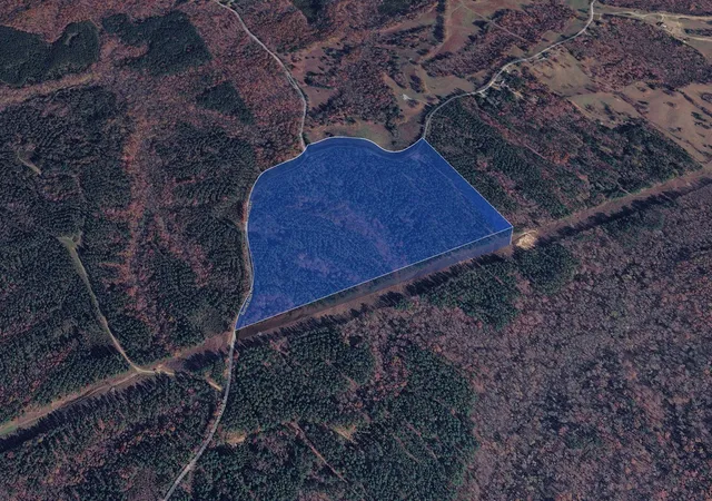 Photo 4 of Land for sale at 0 Burnett Mills Rd, Bolivar, TN 38008 | MLS# 3602919 | Listing updated on 2026-10-10