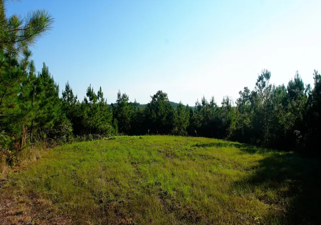 Photo 3 of Land for sale at 3 Ables Rd, Cherokee, AL 35616 | MLS# 3602744 | Listing updated on 2026-10-02