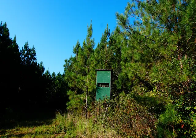 Photo 4 of Land for sale at 3 Ables Rd, Cherokee, AL 35616 | MLS# 3602744 | Listing updated on 2026-10-02