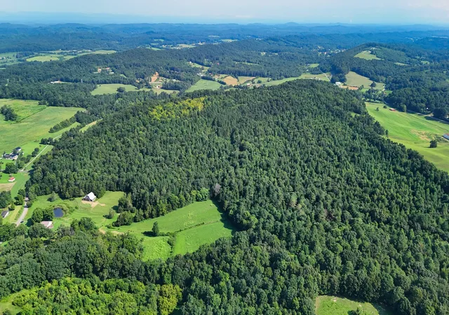 Photo 4 of Land for sale at 0 Moss Rd, Philadelphia, TN 37846 | MLS# 3613049 | Listing updated on 2026-10-07