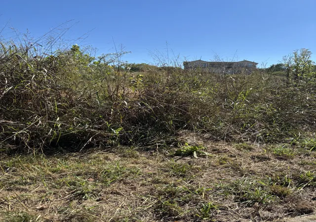 Photo 1 of Land for sale at 0 Business Ctr Cir, Sevierville, TN 37876 | MLS# 3602793 | Listing updated on 2026-09-29
