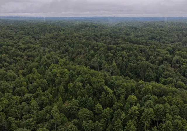 Photo 3 of Land for sale at 0 Redwood Ln, Ellijay, GA 30540 | MLS# 3602880 | Listing updated on 2026-09-30