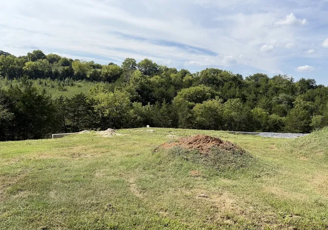 Photo 4 of Land for sale at 1841 Ally Ln, Sevierville, TN 37876 | MLS# 3602924 | Listing updated on 2026-10-06