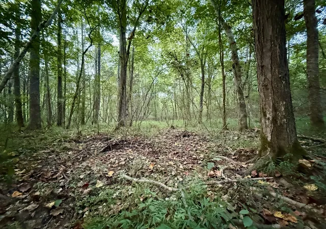 Photo 3 of Land for sale at 0 Hillcrest Dr, Dickson, TN 37055 | MLS# 3602920 | Listing updated on 2026-09-30