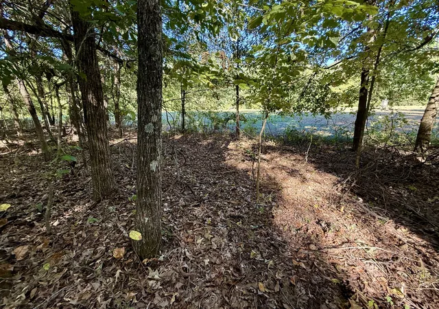 Photo 24 of Land for sale at 836 Bird Spring Rd SW, Hartselle, AL 35640 | MLS# 3603007 | Listing updated on 2026-09-30