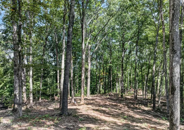 Photo 1 of Land for sale at 40 Pioneer Trl Ln, Crawford, TN 38554 | MLS# 3603002 | Listing updated on 2026-09-30