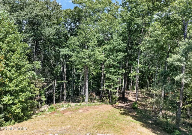 Photo 3 of Land for sale at 40 Pioneer Trl Ln, Crawford, TN 38554 | MLS# 3603002 | Listing updated on 2026-09-30