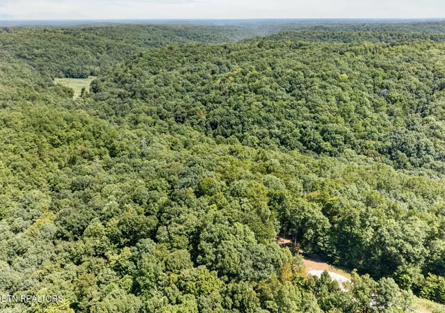 Photo 4 of Land for sale at 40 Pioneer Trl Ln, Crawford, TN 38554 | MLS# 3603002 | Listing updated on 2026-09-30
