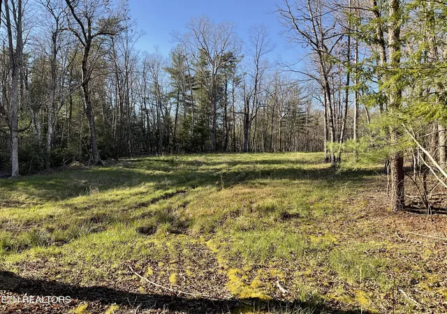 Photo 1 of Land for sale at 2 Pine Breeze Dr, Monterey, TN 38574 | MLS# 3605478 | Listing updated on 2026-10-01