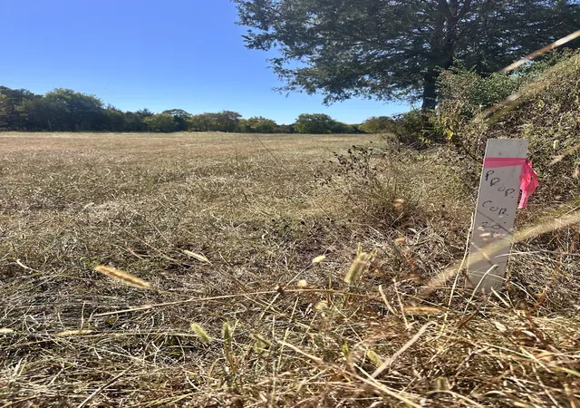Photo 1 of Land for sale at 0 Webb Ln, Murfreesboro, TN 37129 | MLS# 3603109 | Listing updated on 2026-09-30